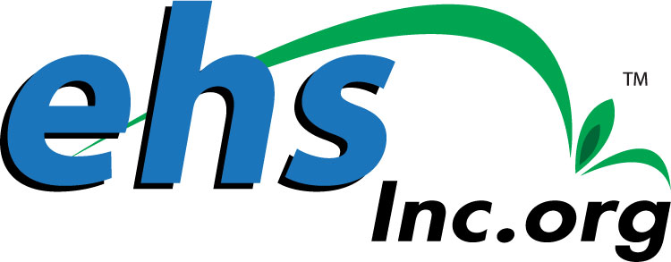ehs in logo